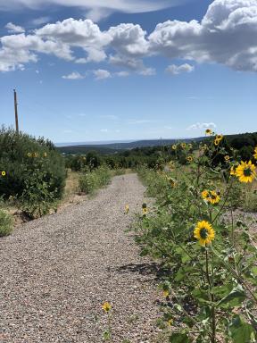 Tijeras Property for Sale